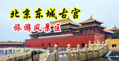 久久干影院中国北京-东城古宫旅游风景区